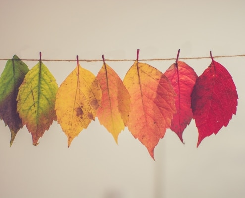 fall crafts to try with kids this year