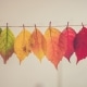 fall crafts to try with kids this year