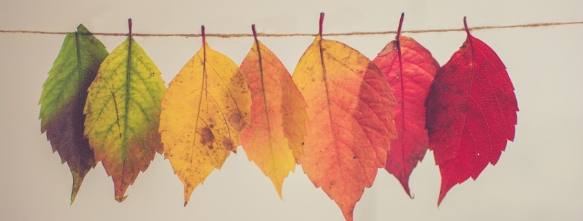 fall crafts to try with kids this year