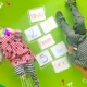 toddlers learning Spanish